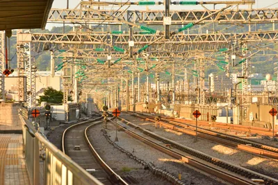 DSC_3779 (Large).JPG